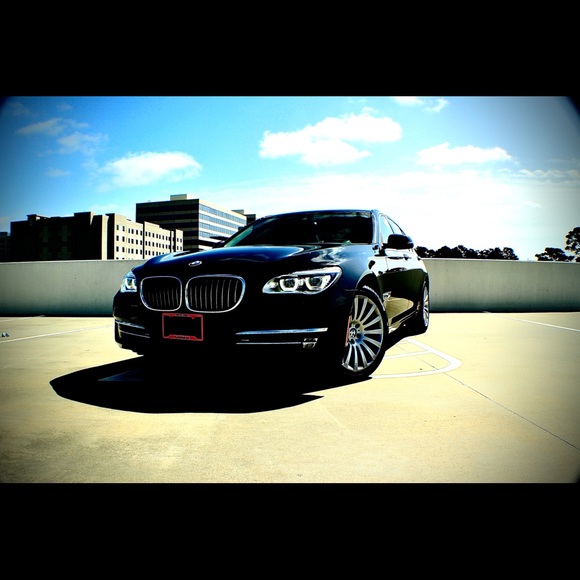 Meet your Posher, Jackson - Picture 2 of 11